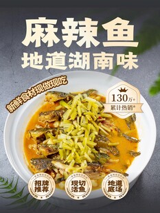 湖南风味麻辣鱼宣传海报