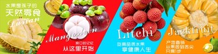 水果海报