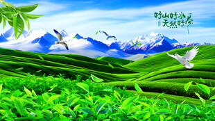 茶山