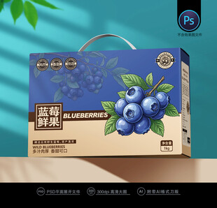 蓝莓包装