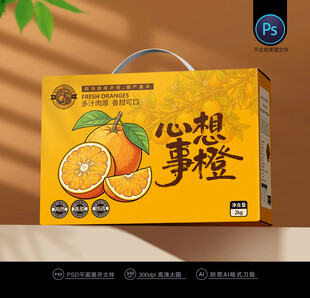 橙子包装