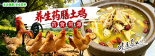 药膳鸡海报