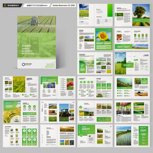 农产品宣传册