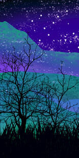 唯美星空山野夜景玄关壁画