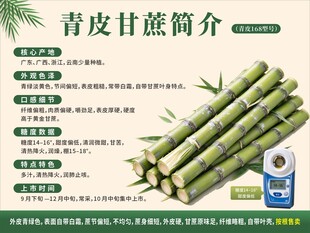青皮甘蔗简介科普海报